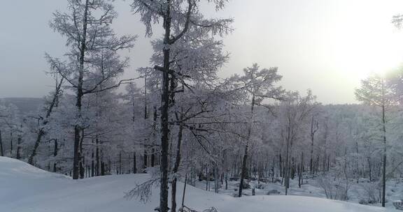 零下40度的低温航拍大兴安岭冰雪雾凇