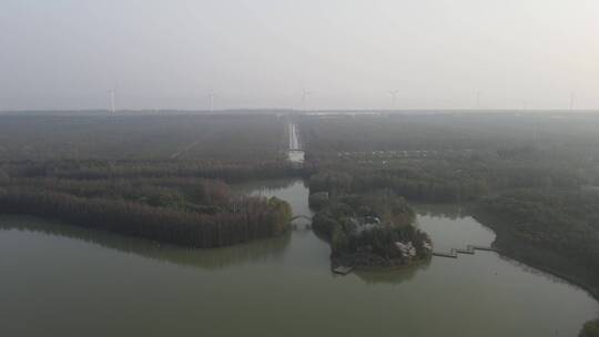 上海海湾国家森林公园4K航拍
