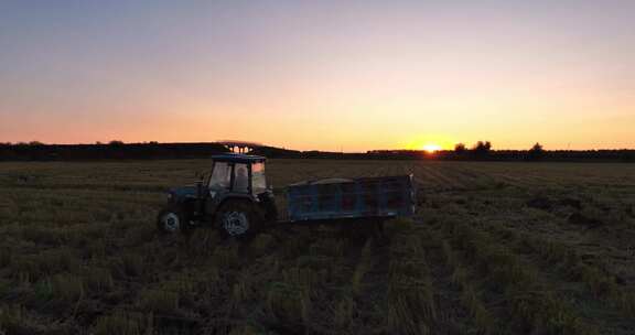 夕阳下收割机在水稻田收割稻谷航拍
