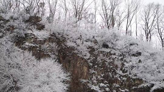 漫天飞雪大雪封山