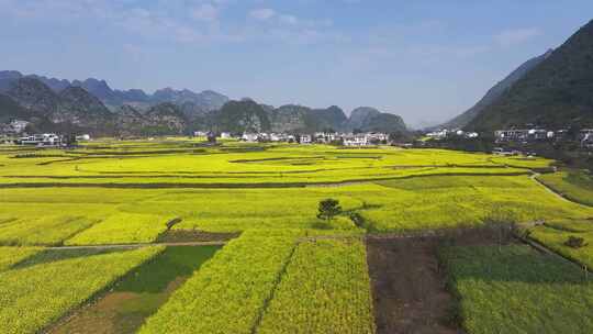 贵州黔西南州兴义市万峰林风景风光