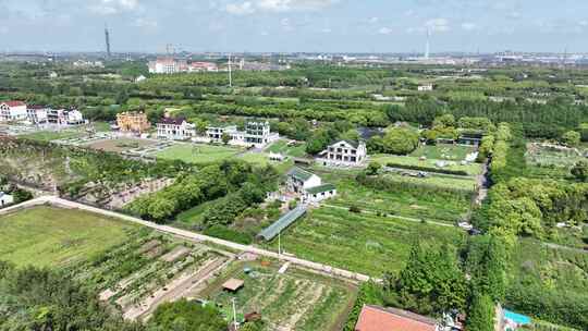 4K航拍上海金山区山阳田园