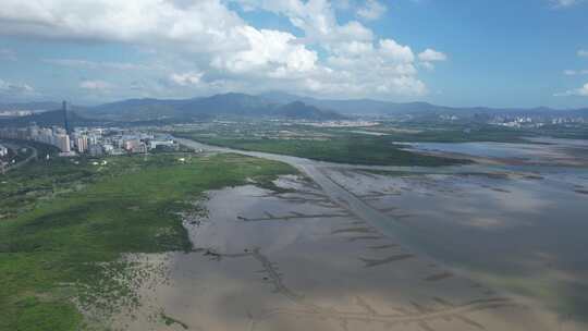 4K航拍深圳福田红树林湿地保护区