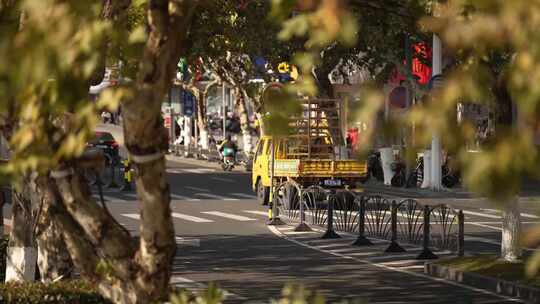 4K秋叶叶子 秋天街道 城市道路 昆山震川路