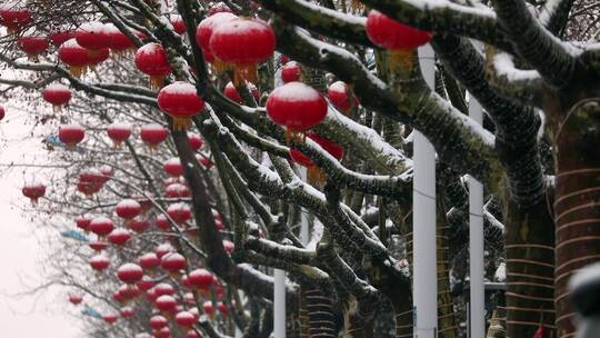 雪中的红灯笼视频素材春节年味瑞雪兆丰年视频素材模板下载