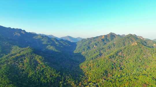 航拍辽宁山区绿色山林植被