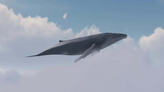 鲸鱼在天空中遨游畅想镜头