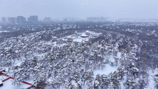 辽宁沈阳北陵公园清昭陵大雪中古建筑航拍