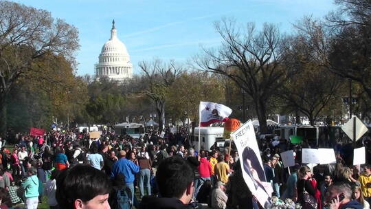 抗议者在华盛顿抗议视频素材模板下载
