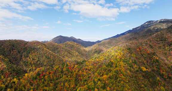 秦岭秋天