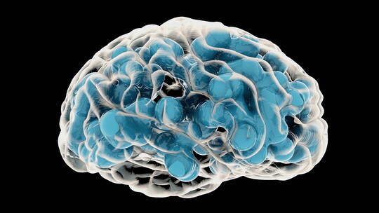 大脑人体器官大脑医学医疗科普神经系统神经视频素材模板下载