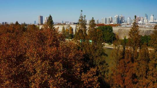 秋季的南京古城墙视频素材模板下载