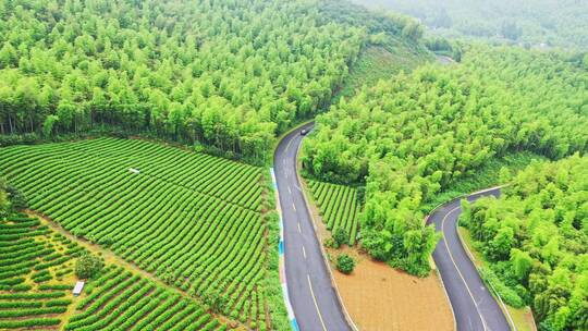 莫干山风景航拍