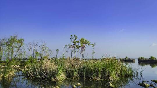 南滇池国家湿地公园延时视频素材模板下载