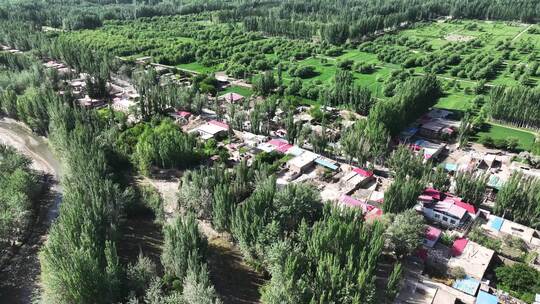 航拍新疆喀什地区被绿色树林包围的小镇