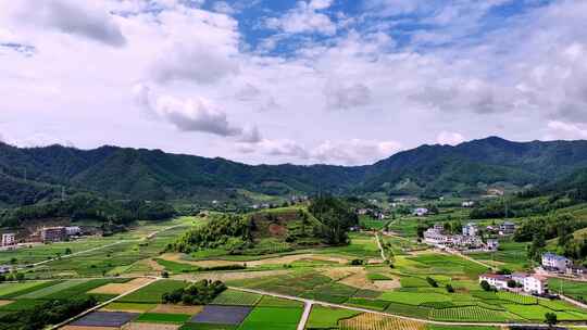 天府粮仓 农业稻田 新农村建设视频素材模板下载