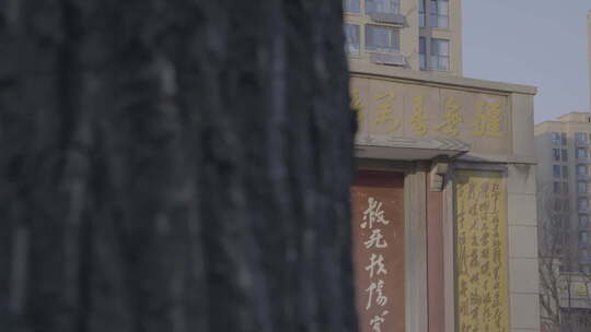 透过树木拍摄的建筑与牌匾