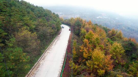 森林公路两旁秋景 夏天树叶绿色和秋天金色视频素材模板下载