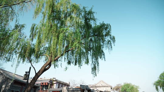 老北京生活 北京空镜头