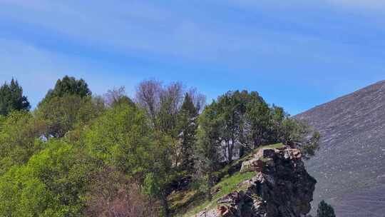 祁连山国家公园冰沟河风光美景01