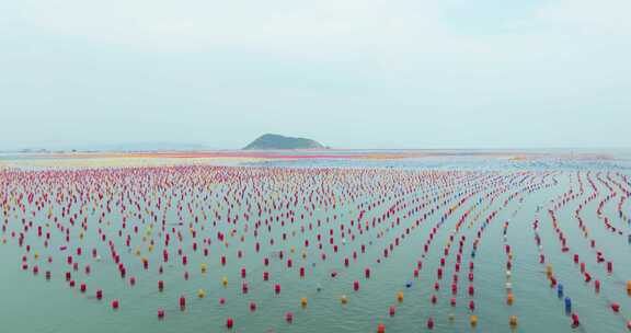 海洋养殖牡蛎生蚝深海养殖场航拍