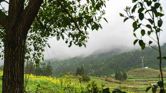 风景延时 锦屏铜鼓 油菜花 信号塔