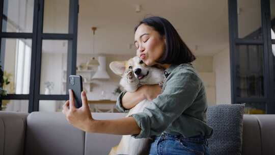 女人，柯基犬，宠物，狗