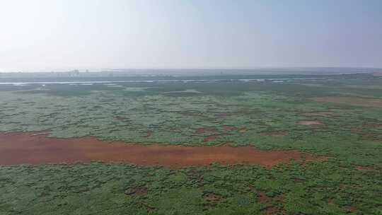 江西鄱阳湖湿地