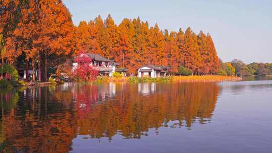 杭州西湖秋天建筑风景