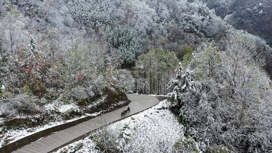 航拍重庆大巴山冬季雪山冰雪风光雪景