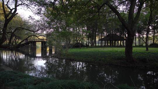 杭州西湖十景茅家埠水乡风景