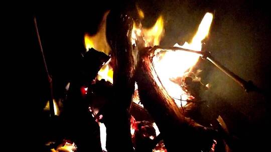 燃烧的树枝的光用作火的木材