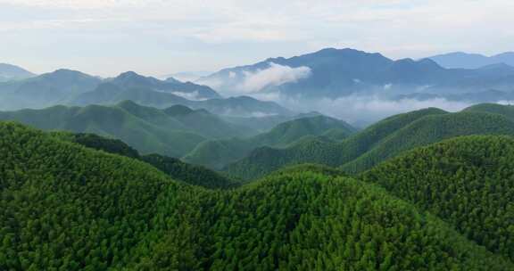 高山竹海云雾云海航拍杭州余杭百丈