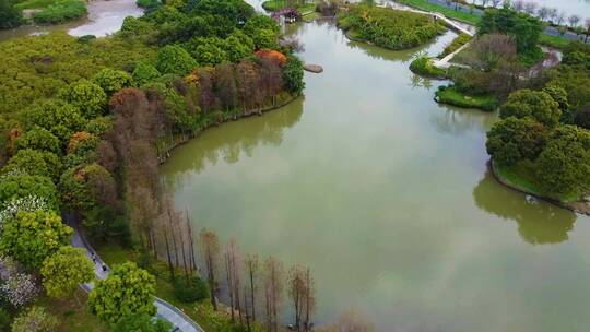 春天广州湿地公园航拍