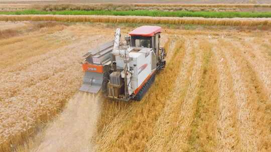 4K航拍割小麦