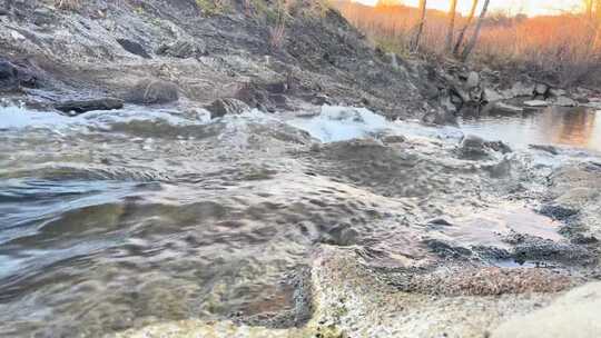 水在森林中流动