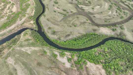 航拍海拉尔河湿地原野河湾视频素材模板下载