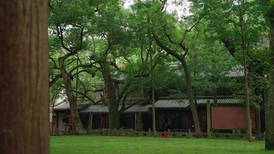 灵隐寺，杭州灵隐寺，晨光照射