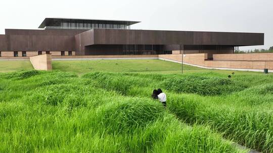 洛阳二里头夏都博物馆航拍芦苇荡建筑美学