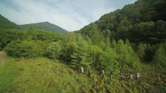 吉林通化长白山采参人小路森林山峦航拍