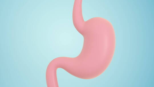 循环蠕动的胃 3D渲染