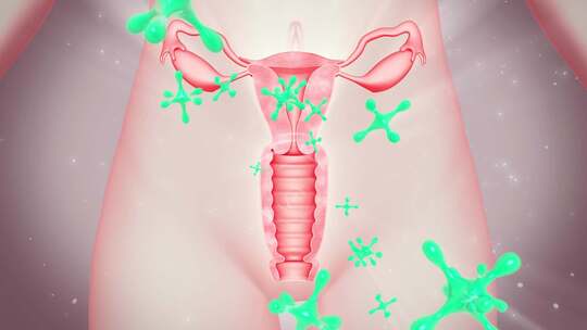 阴道病毒细菌 女性生殖系统 粘膜  弹性收缩