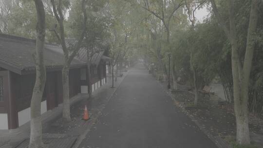 杭州西湖大雾弥漫雾西湖