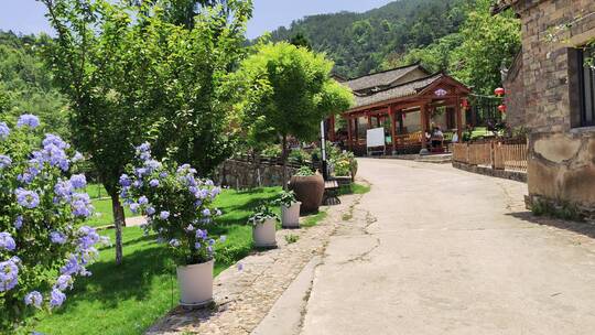 大山土房绿色植物风景旅游区