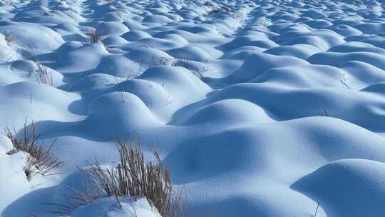 寒冬湿地草甸雪包雪景