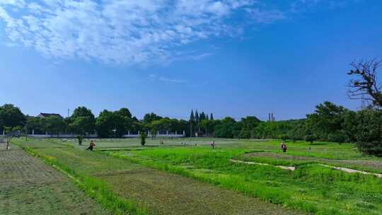 田野劳作场景