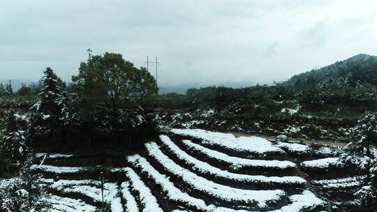 乡村雪景