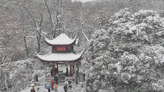 航拍城市风光长沙雪景古建筑爱晚亭雪景