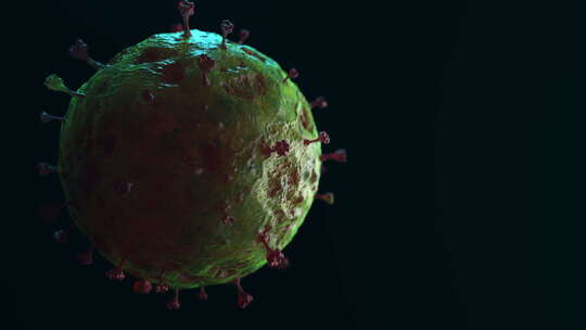 病毒 细菌 细菌动画