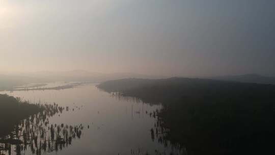 镜头湿地沼泽